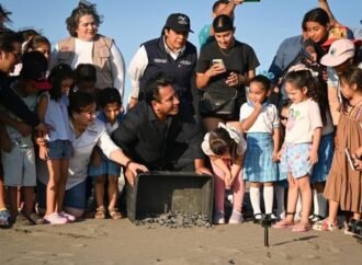 Eduardo Ramírez encabeza liberación de tortugas en Puerto Arista