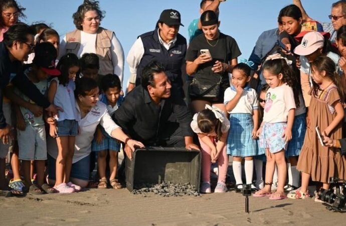 Eduardo Ramírez encabeza liberación de tortugas en Puerto Arista